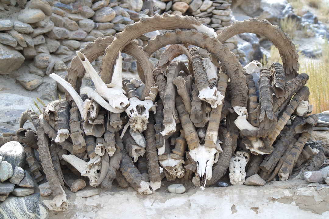 Wild Frontiers - Tajikistan - Tripoto