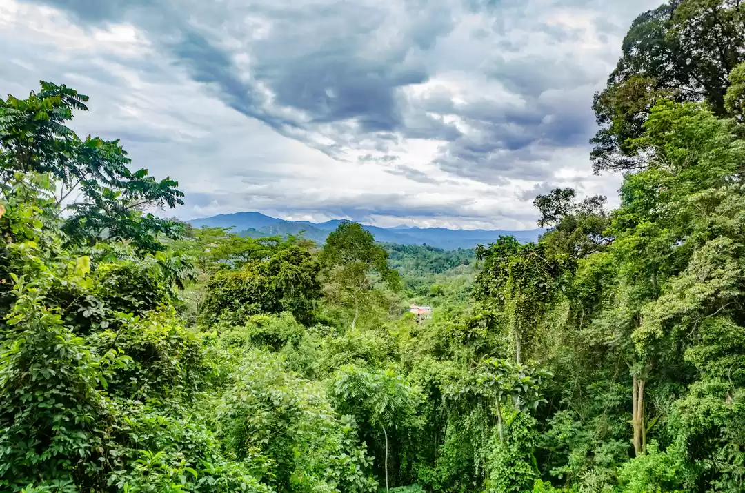 Photo of How I Backpacked Mal