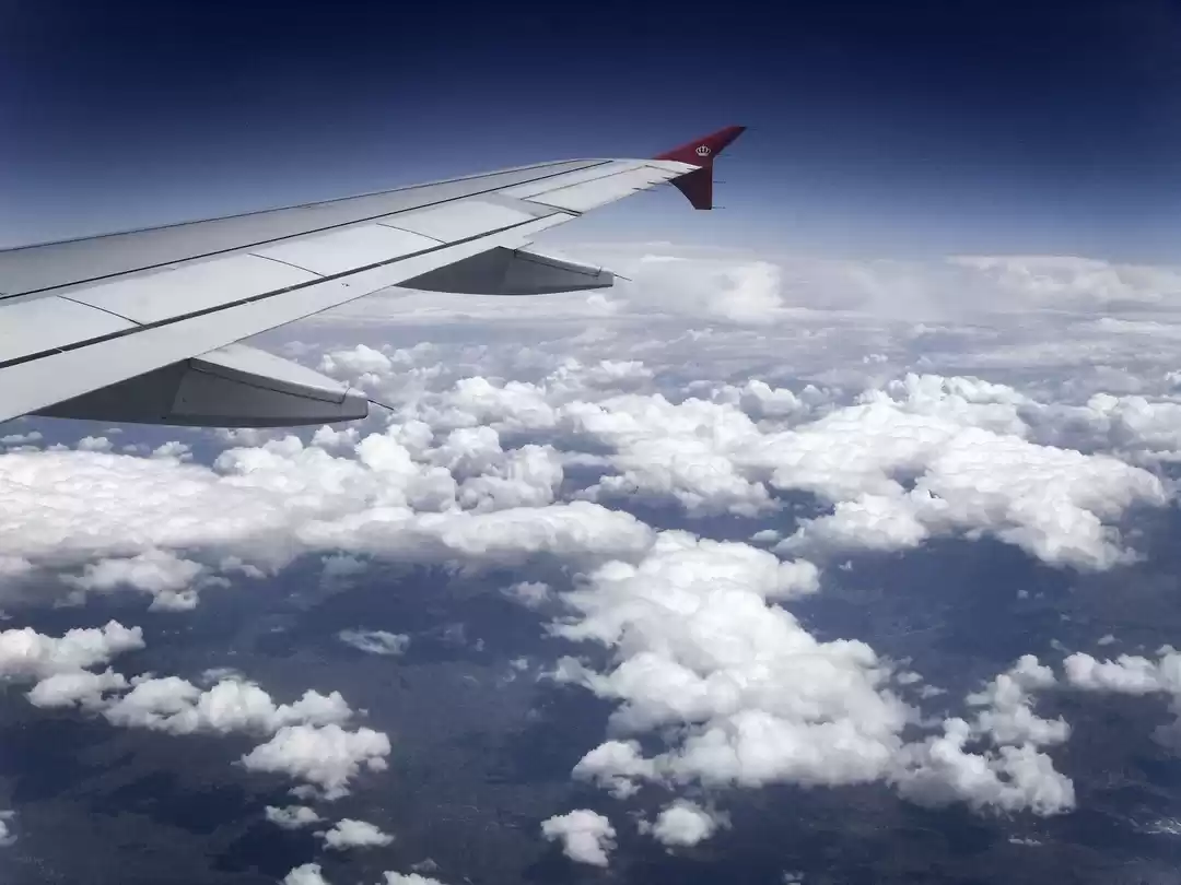 Photo of I Have Flown 199 Tim