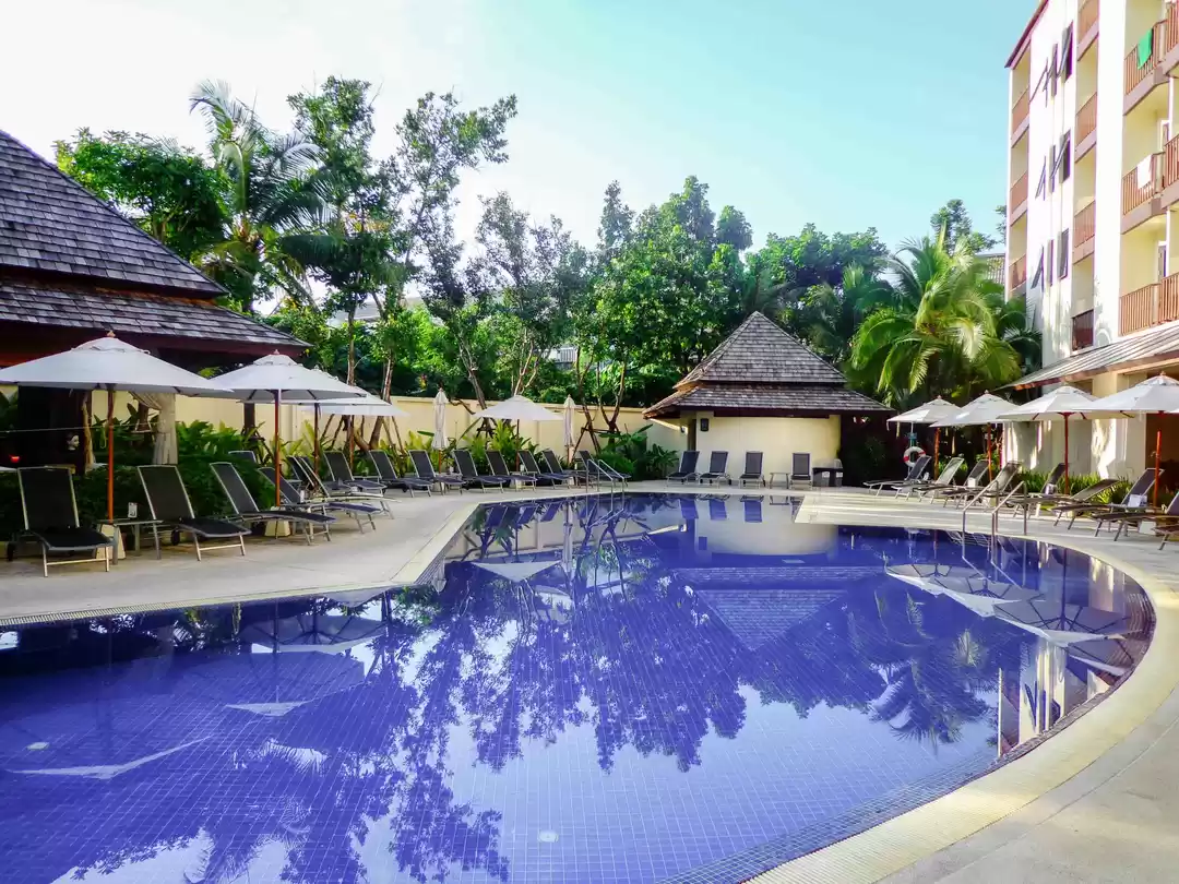 Photo of Here Is The Story Of