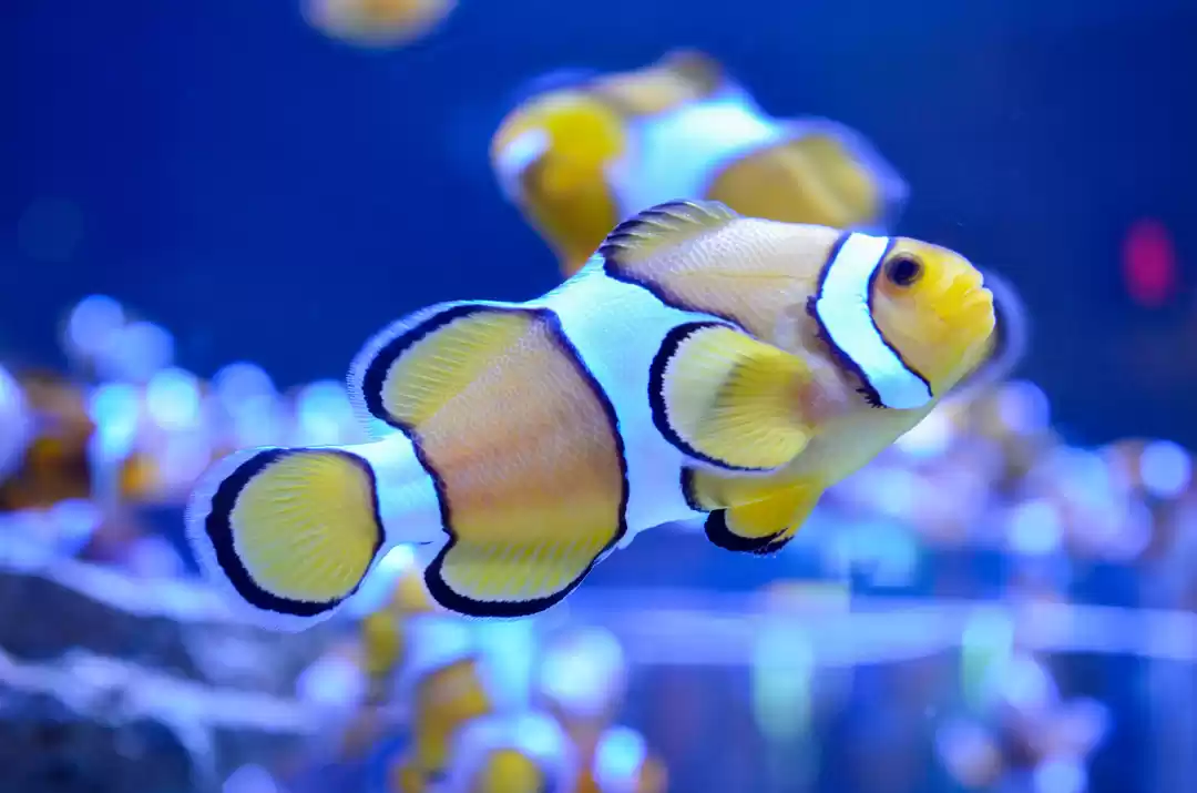 Photo of The Perfect Guide to