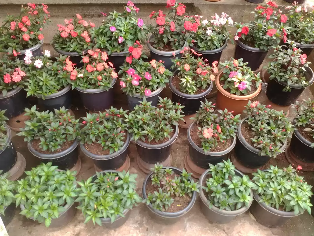 Photo of Best Places to Visit