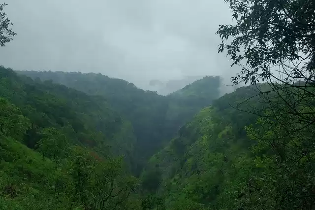 Photo of Glimpse of Tamhini G