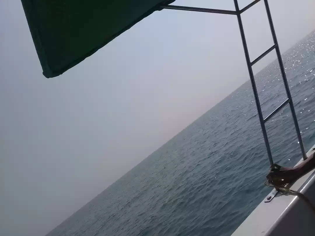 Photo of It's Goa on Solo Roa