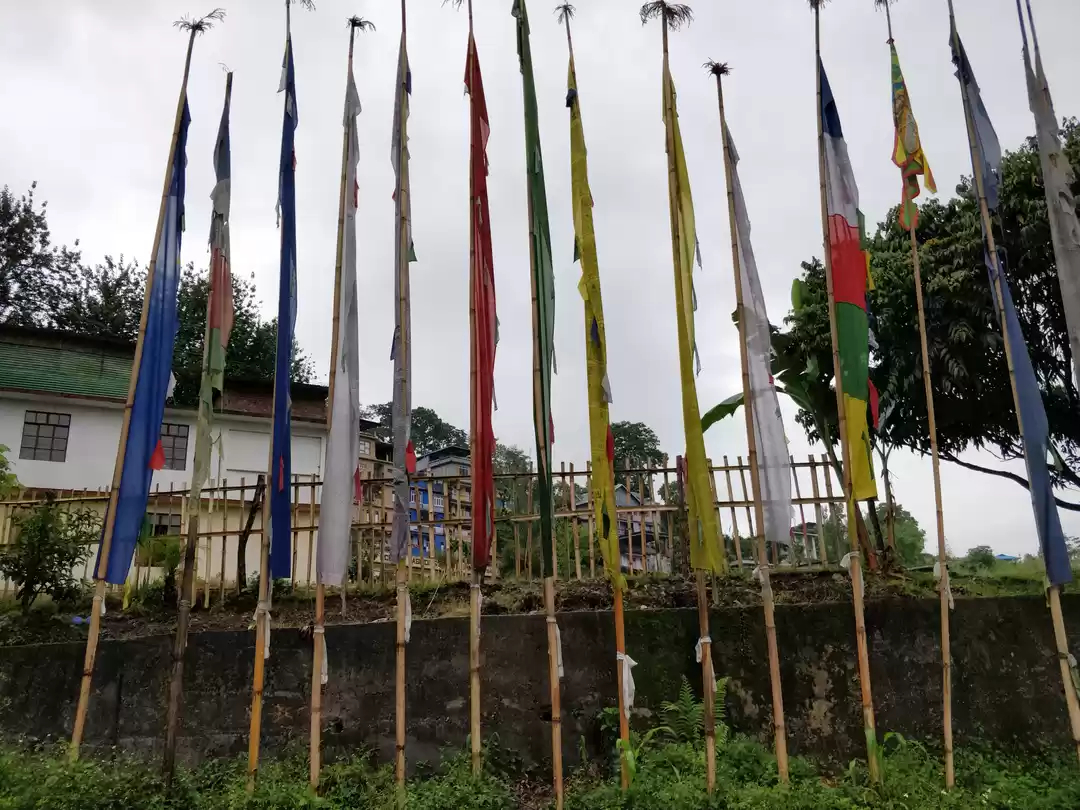 Photo of Northeast Series: Yu