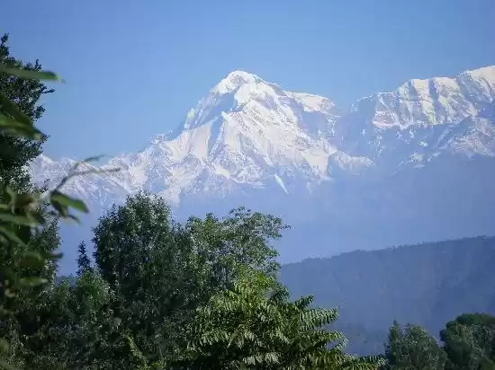 Photo of Almoda- Be like Chan