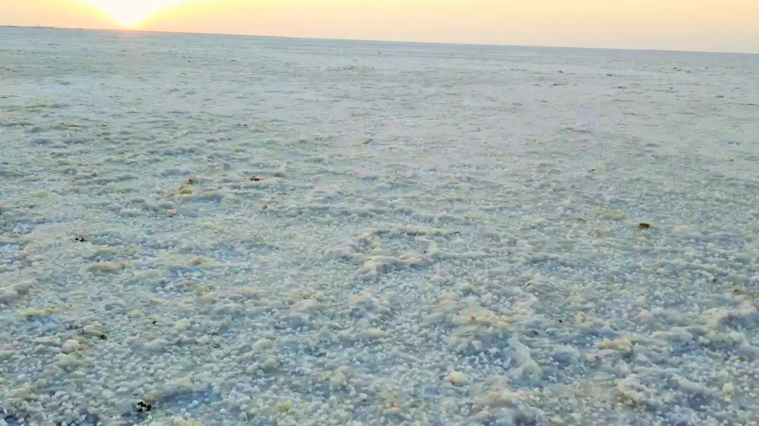 Photo of How I ticked off two