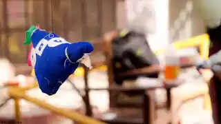 Photo of Chirpy Delhi