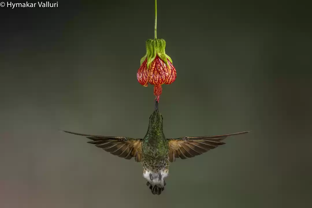 Photo of Ecuador - Heaven on