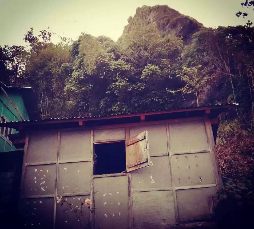 Photo of Dzuluk with friends