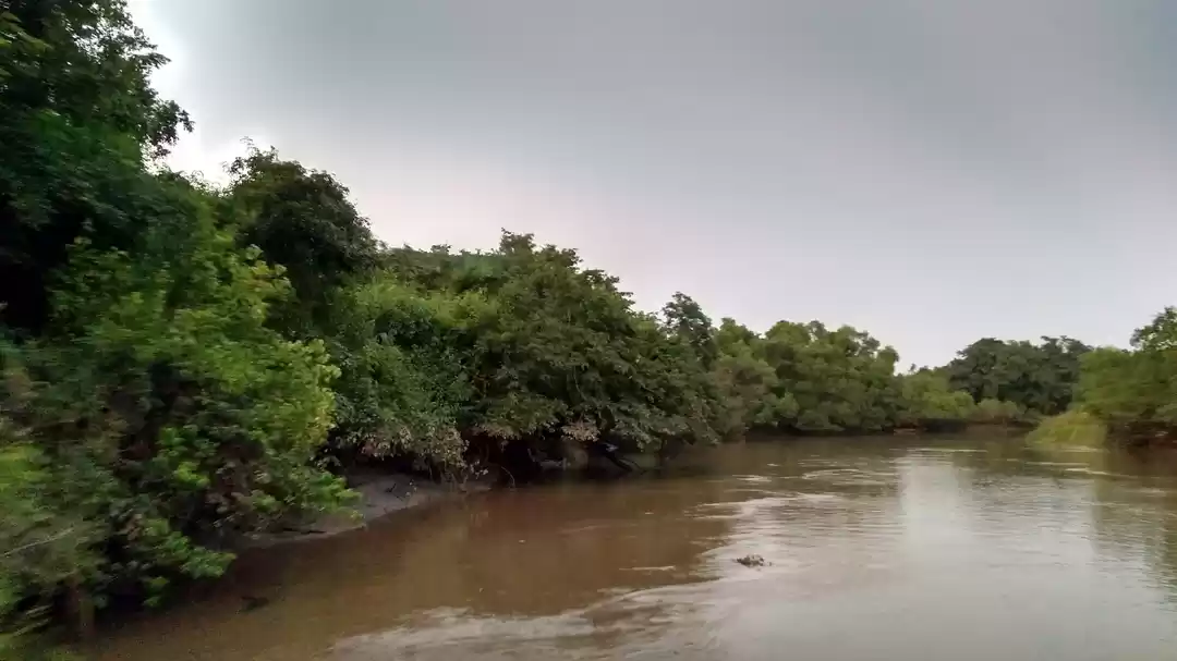 Photo of Road trip to Bhitark