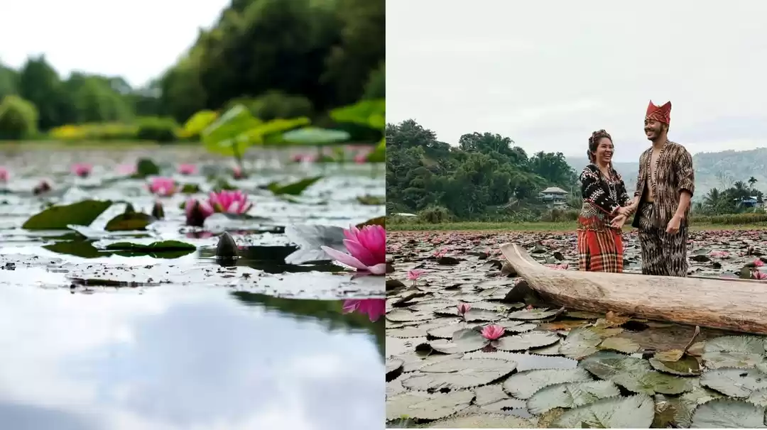 Photo of In search of perfect