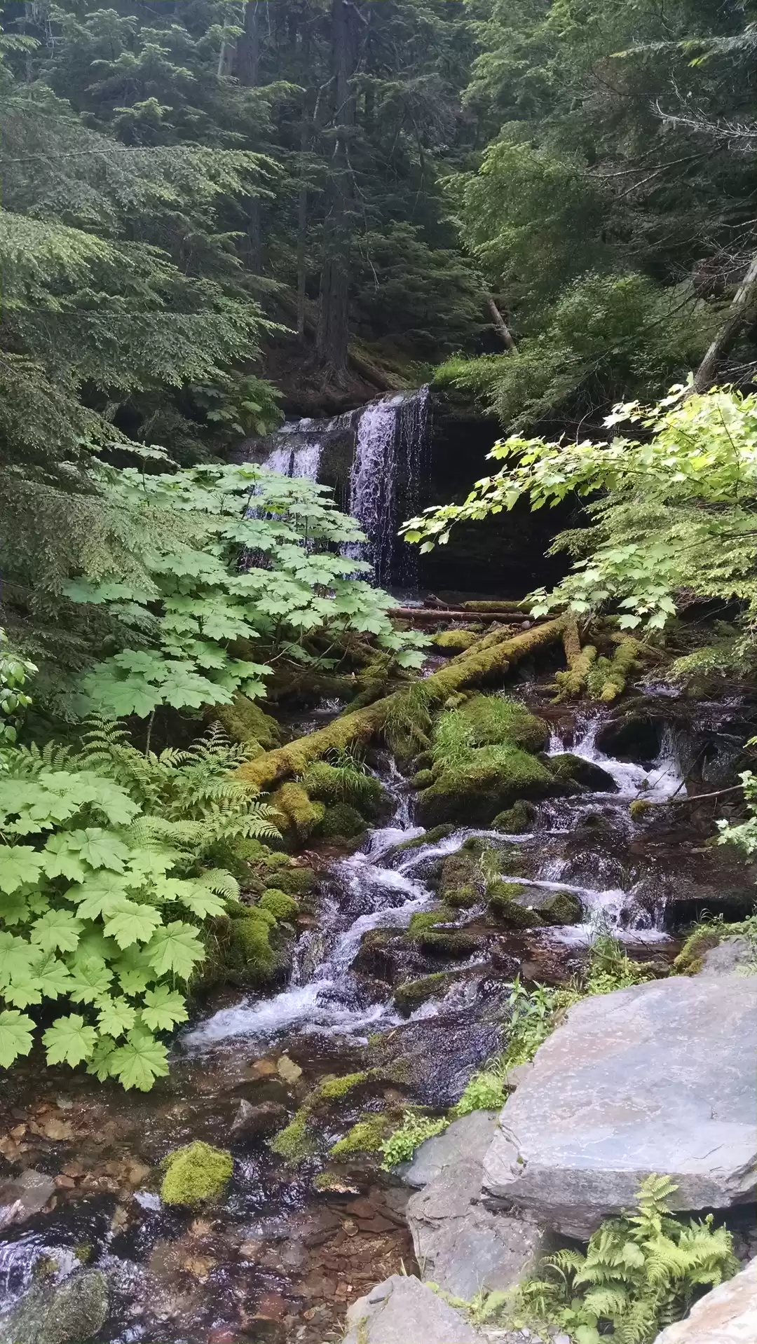 Photo of Waterfalls of North 