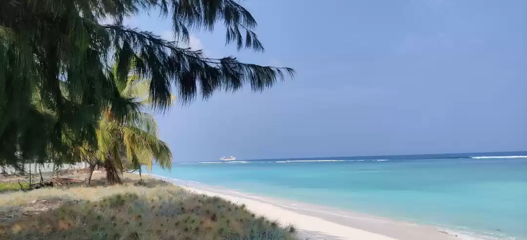 Photo of Top 5 Key Factors to