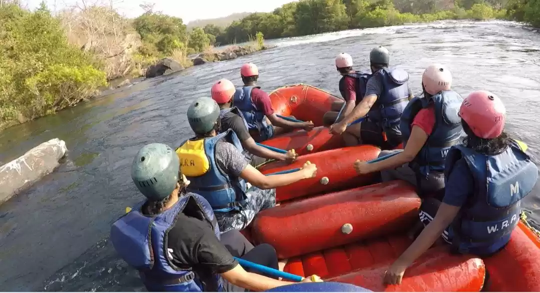 Photo of DANDELI TRIP! The Be