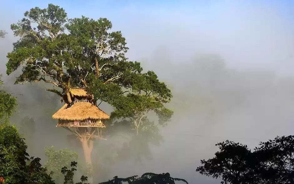 The Gibbon Experience Huay Xai Laos Guide: Itinerary, Cost
