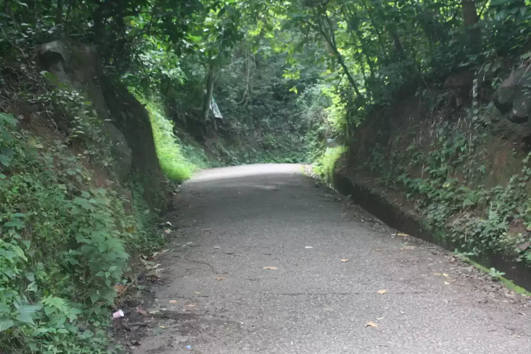 Photo of Wayanad , The Green 