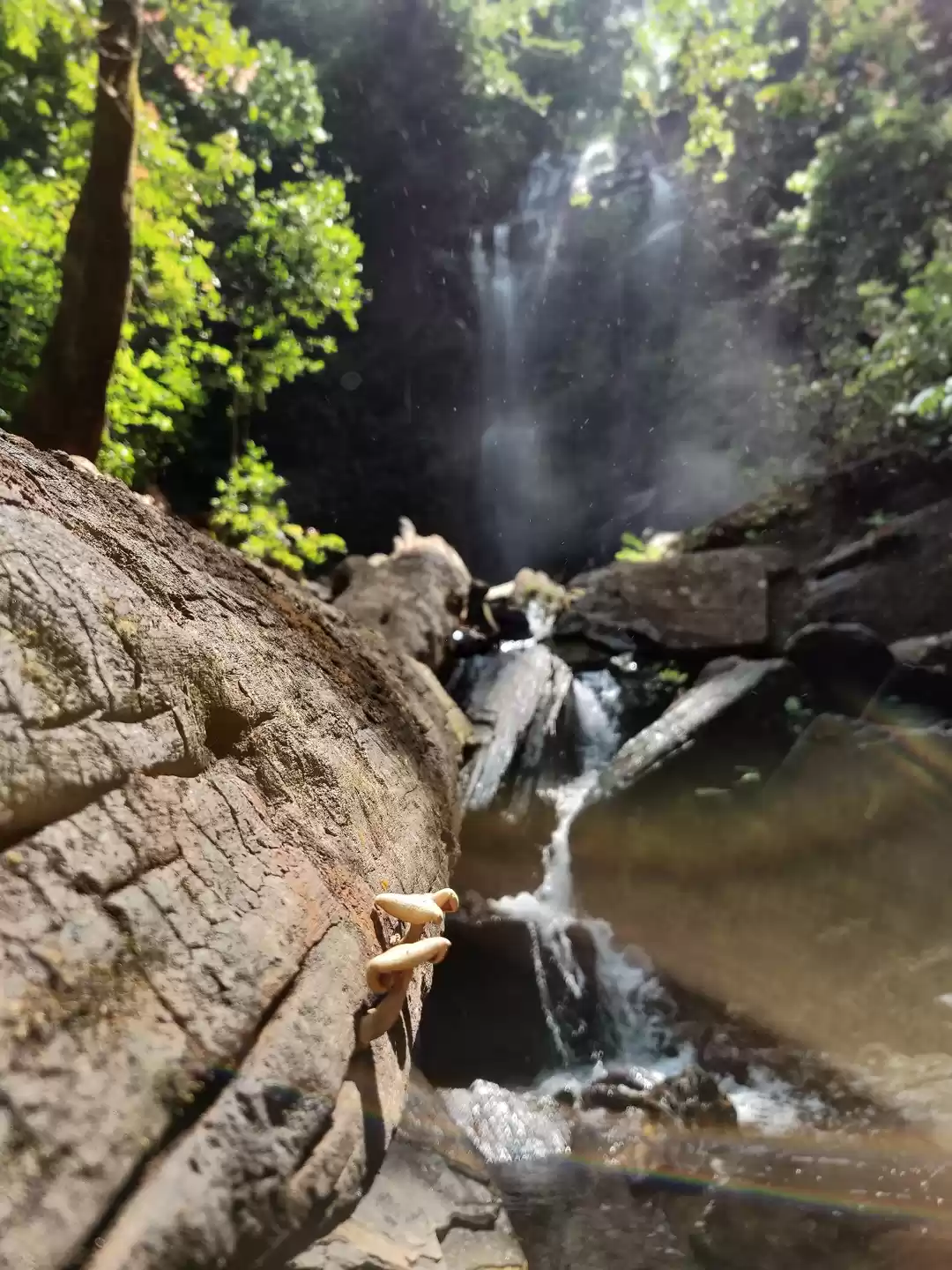 Photo of Quench your thirst o