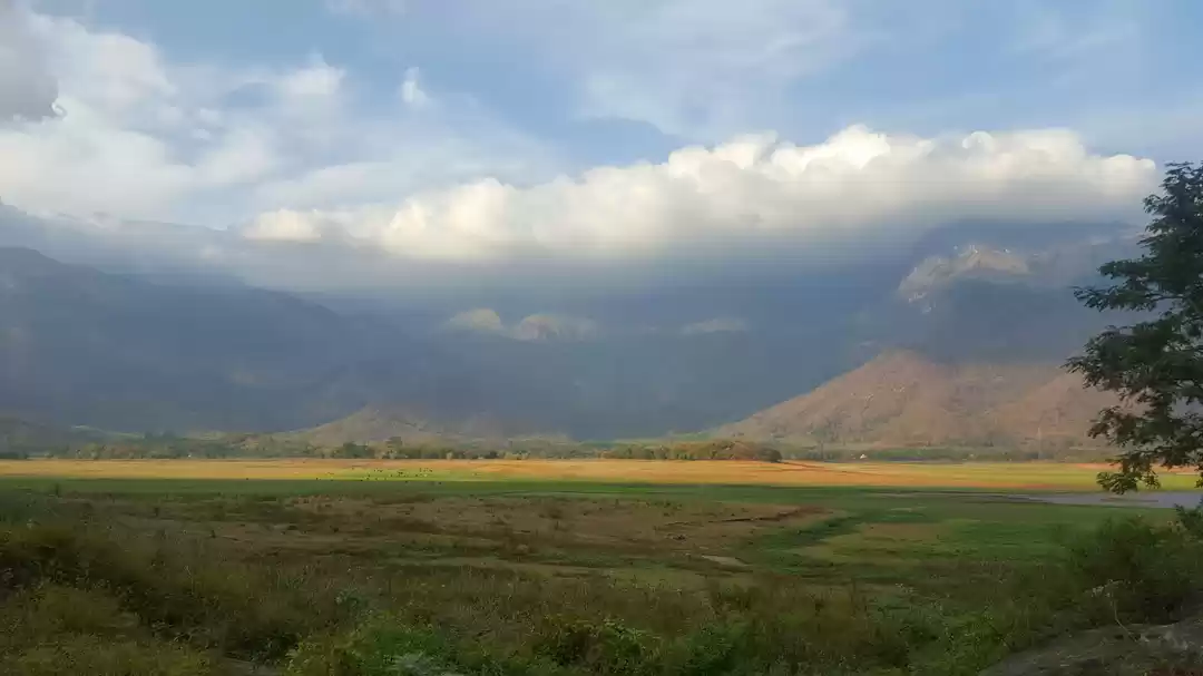 Photo of Exploring KAVA a hid