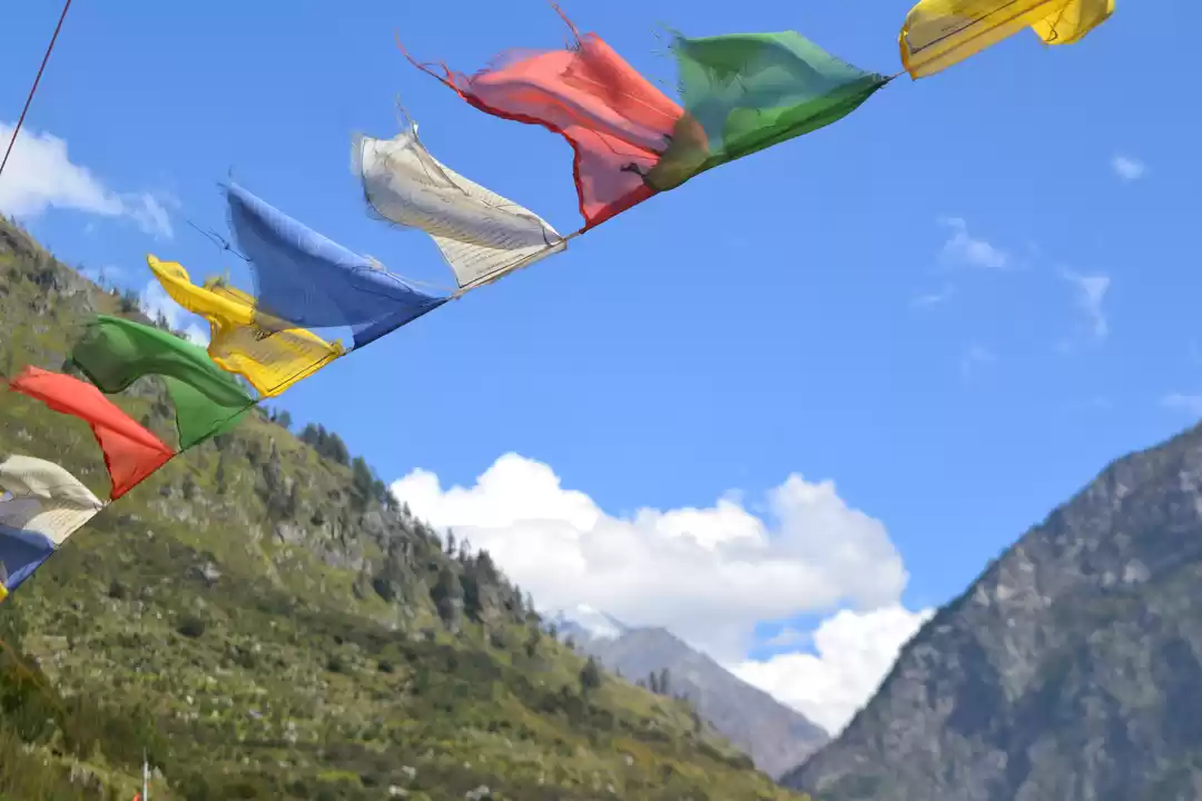 Photo of Gangotri & Harsil Tr