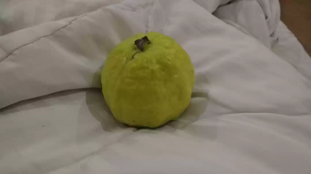 Photo of Ran-tham-bore : The