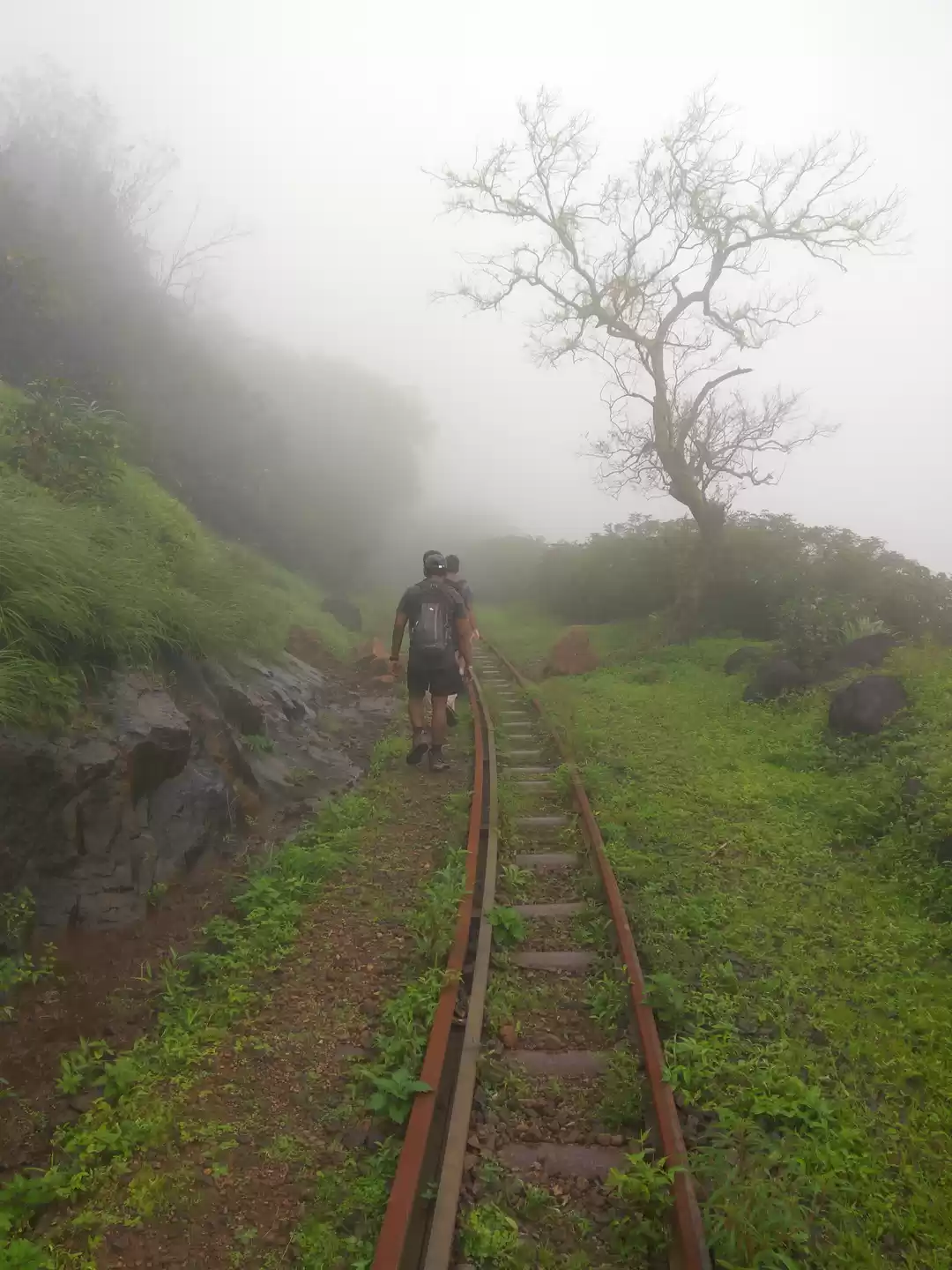 Photo of Vikatgad - Matheran