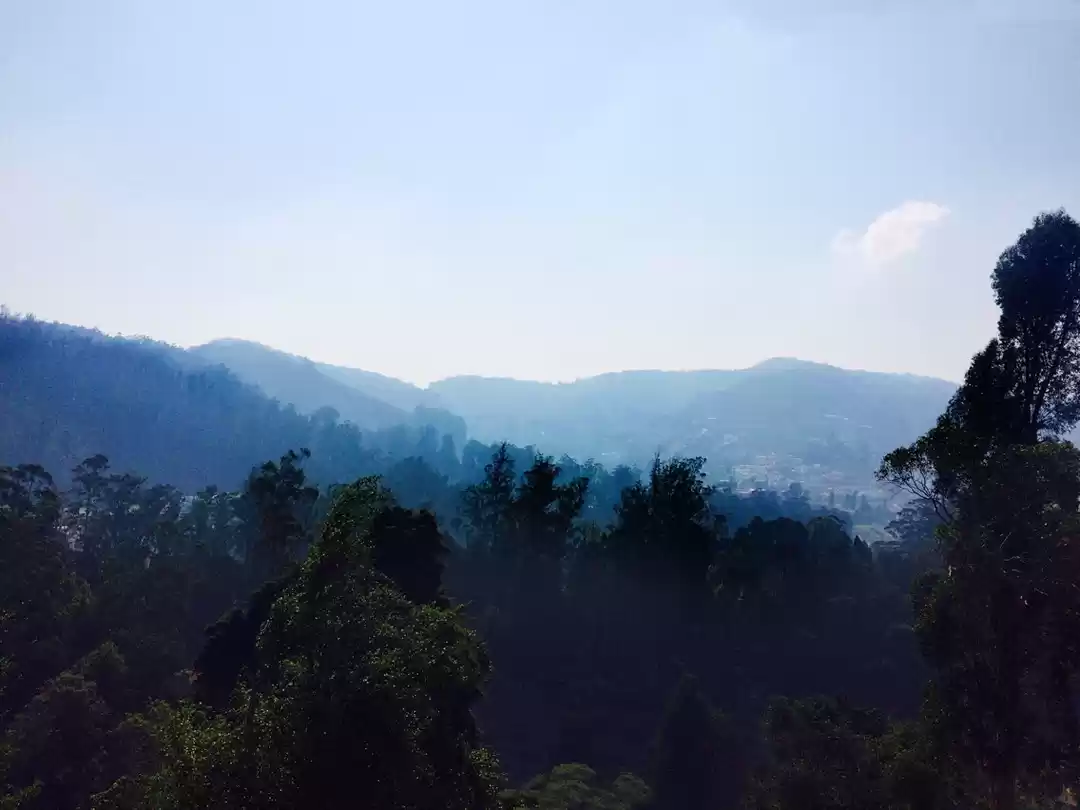 Photo of The Blue Mountains.!