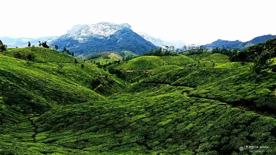 Photo of Mystic Munnar- Parad