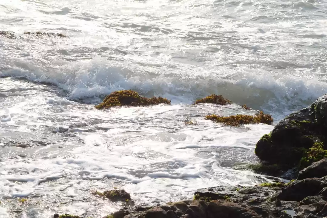 Photo of Why Malvan should be