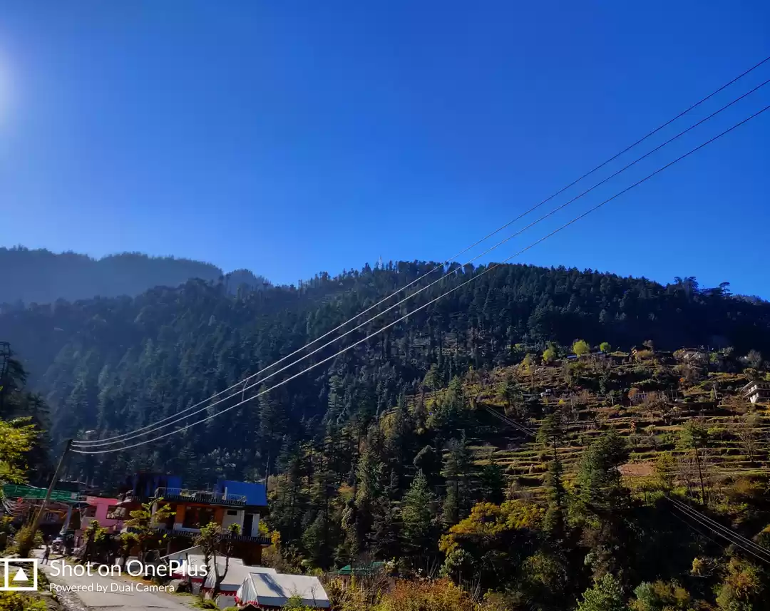 Photo of Into the Jibhiness #