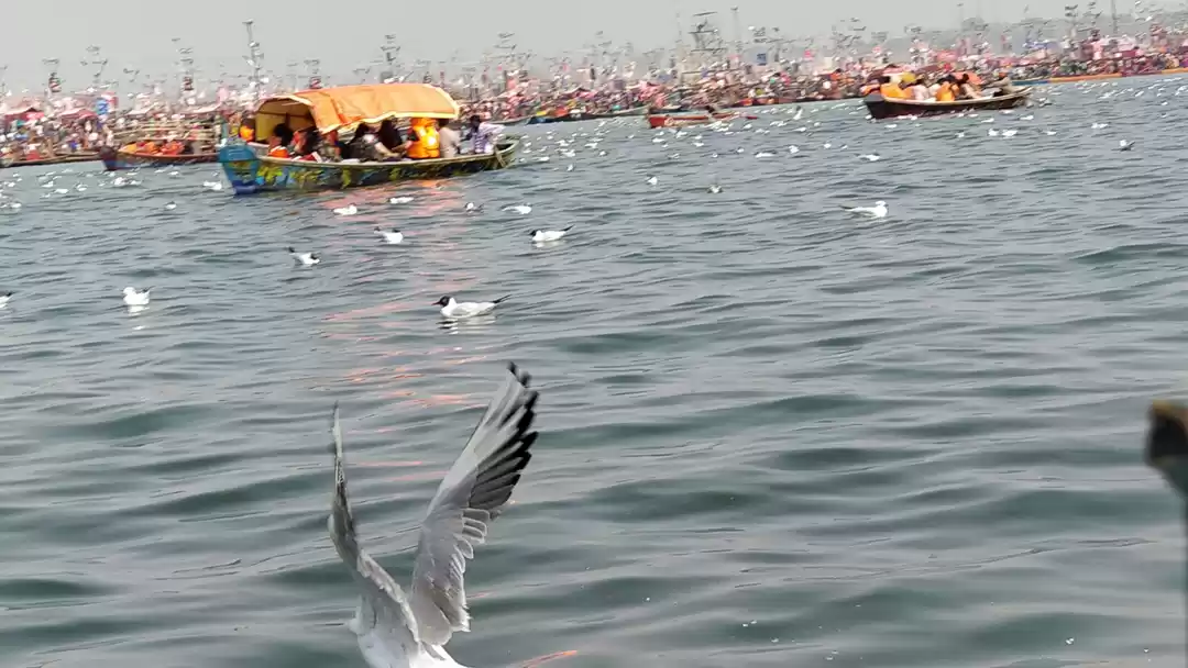 Photo of Kumbh 2019
