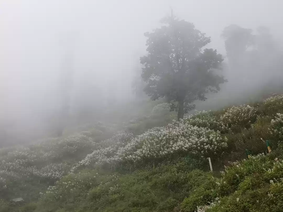 Photo of BHRIGU LAKE TREK