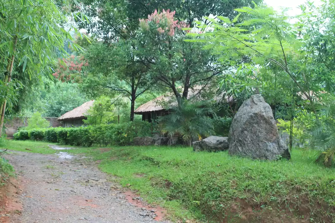 Photo of Secluded amidst gree