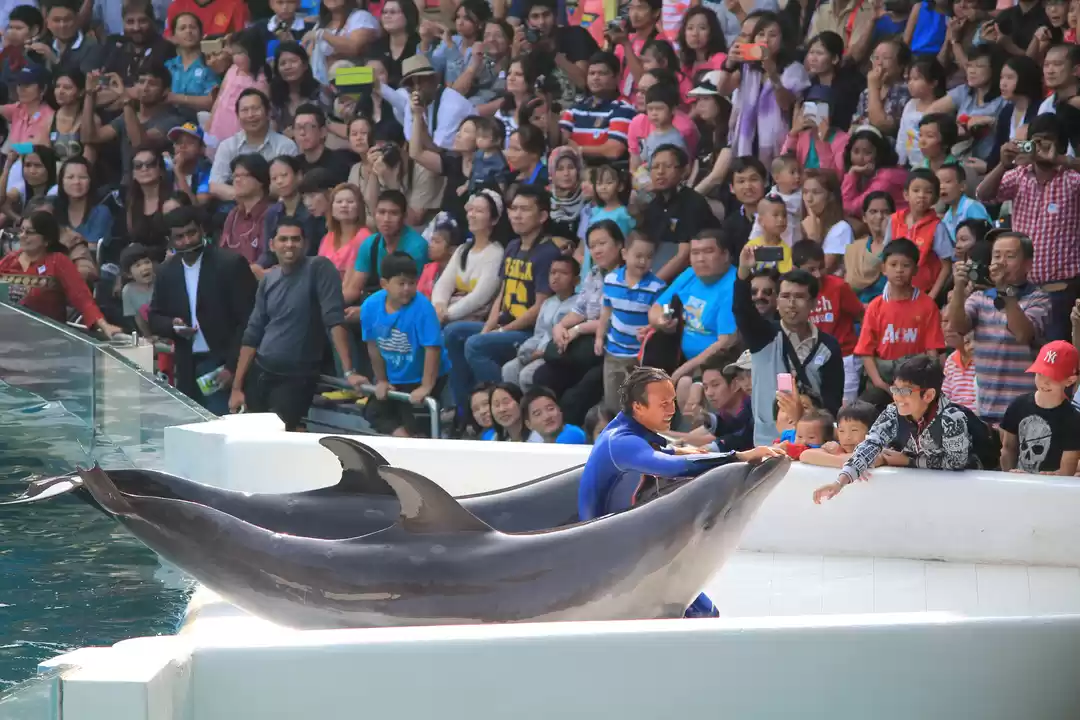 Photo of Thailand with Kids? 
