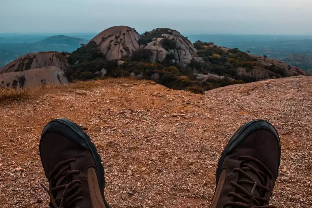 Photo of A fine trek in Savan
