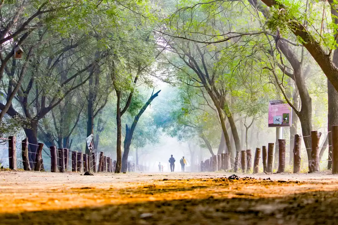 Photo of Journey To Sultanpur