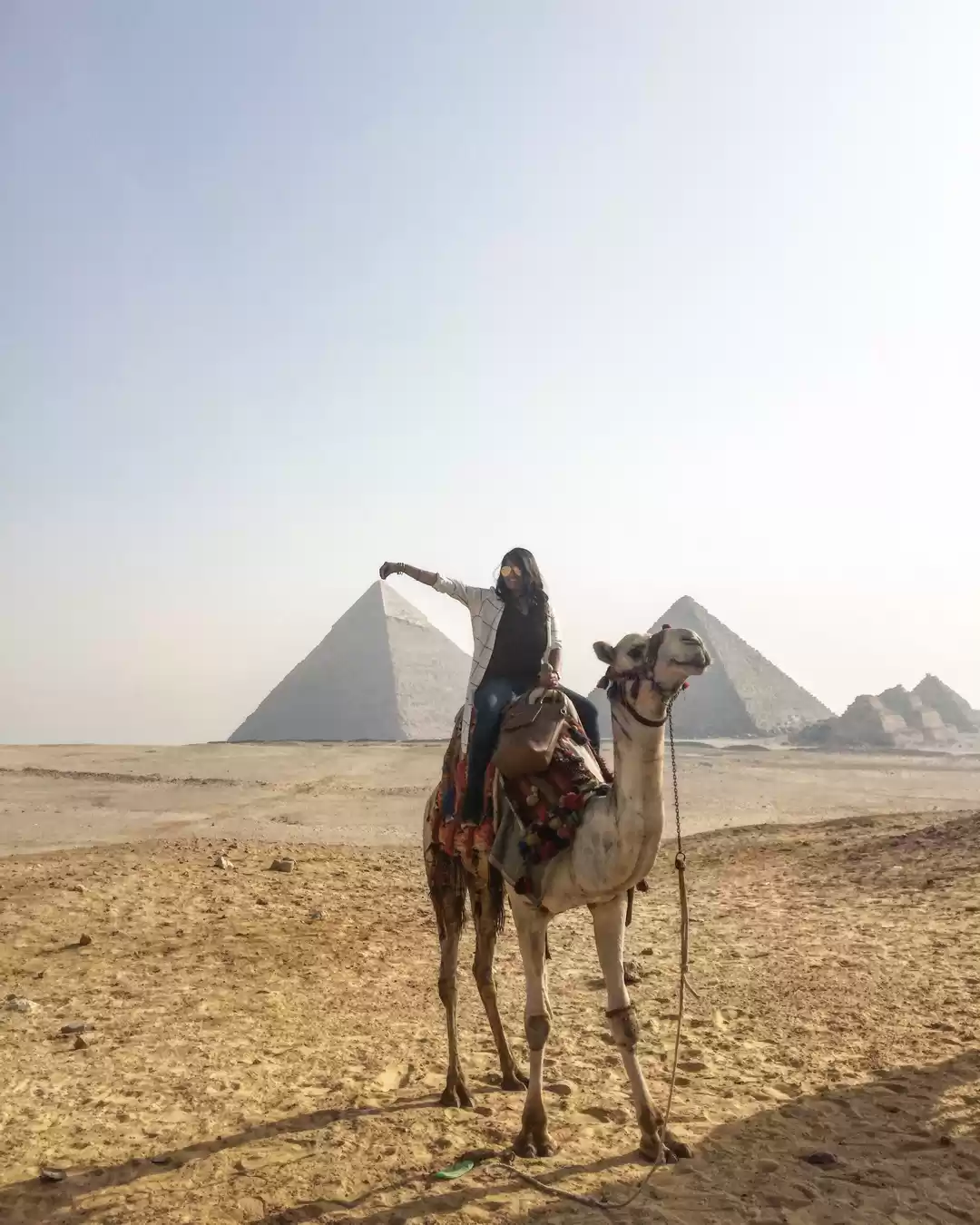 Photo of The Pharaohs are cal