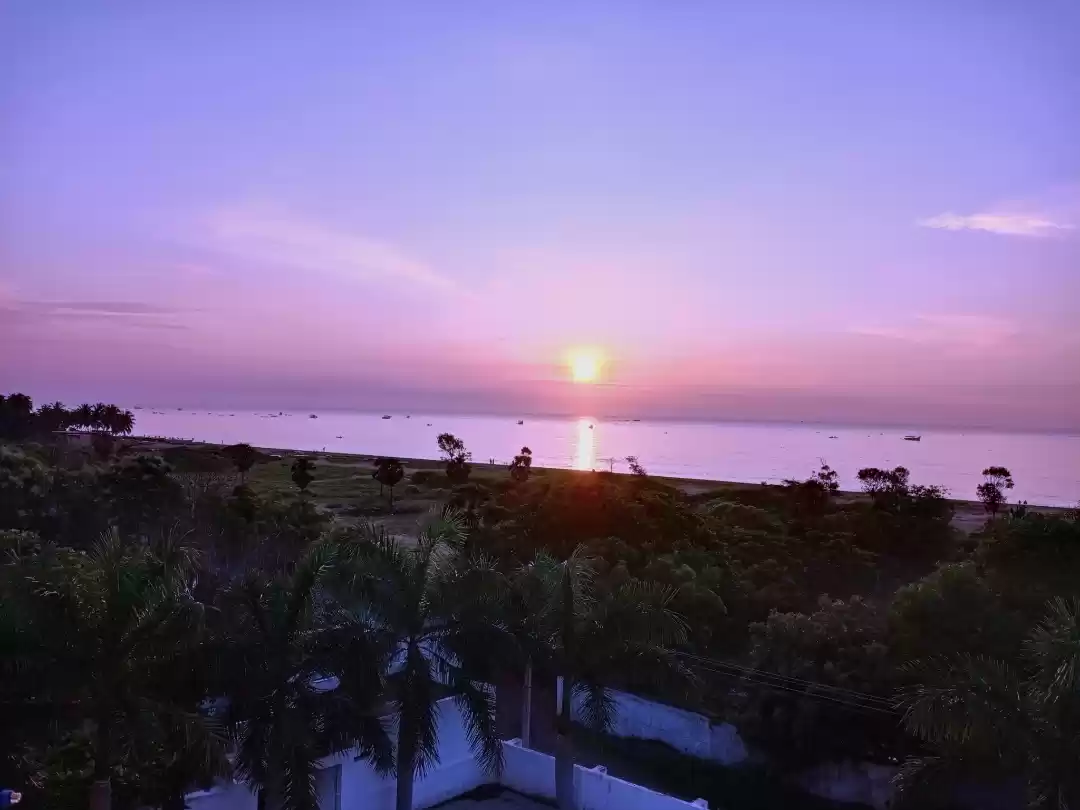 Photo of Purple sky 