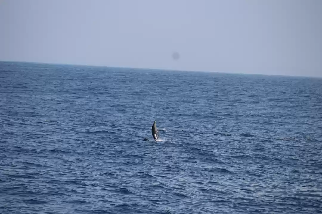 Photo of 5 days backpacking t