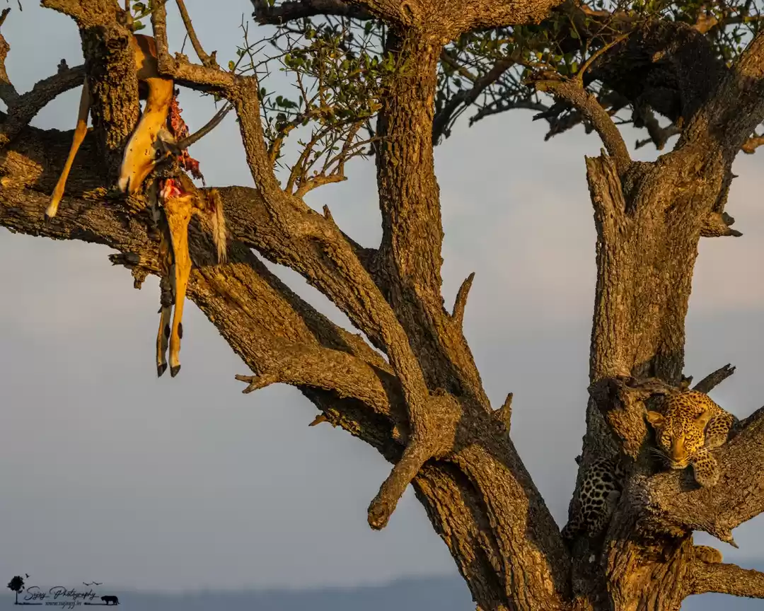 Photo of Art and the artist