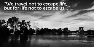 Photo of Reasons You Should T