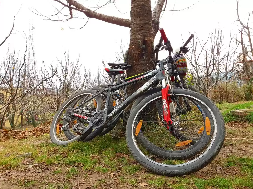 A day well spent Mountain Biking in Manali with videos for just