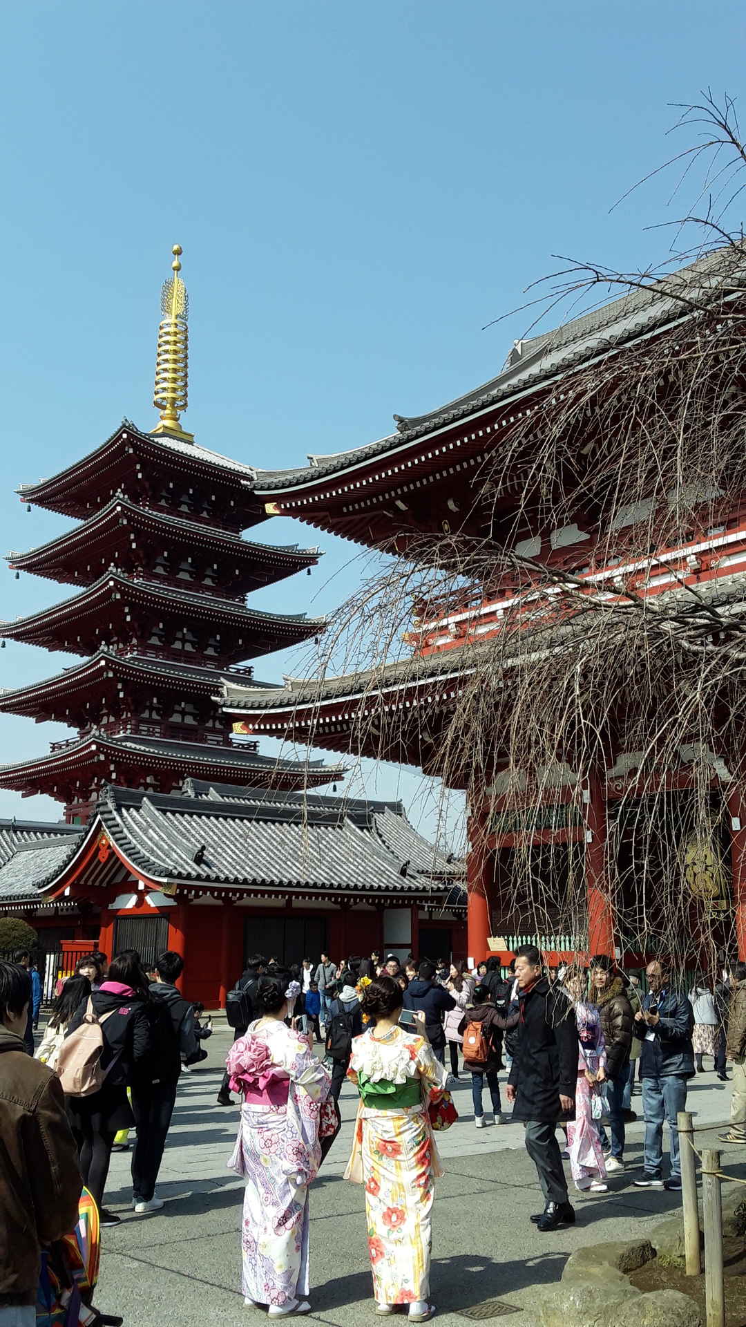 Photo of When I Fell in Love With Tokyo 