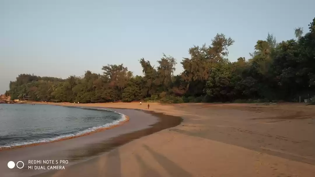 Photo of 5 reasons why Gokarn