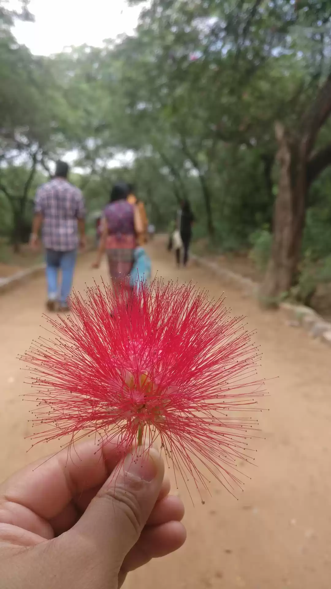 Photo of Sunday at Mehrauli A