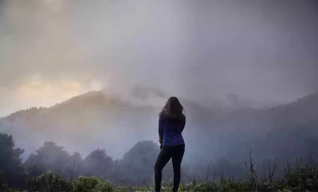 Photo of The Incredible Himac