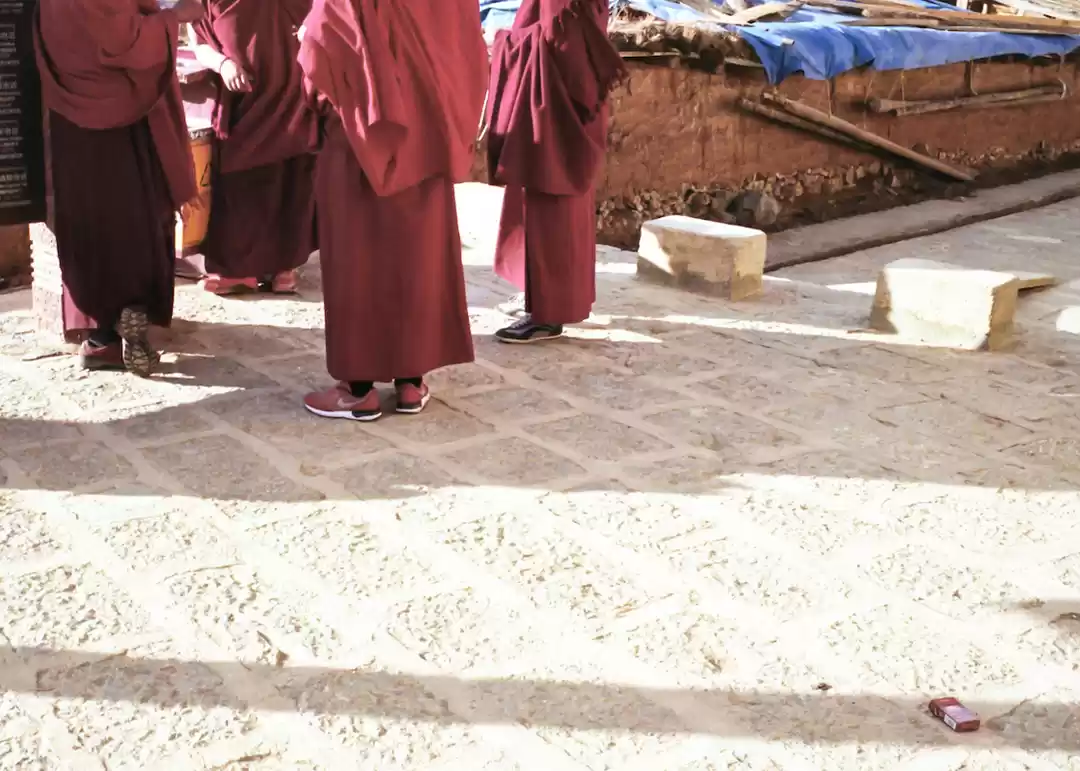 Photo of Vagabond Experiences