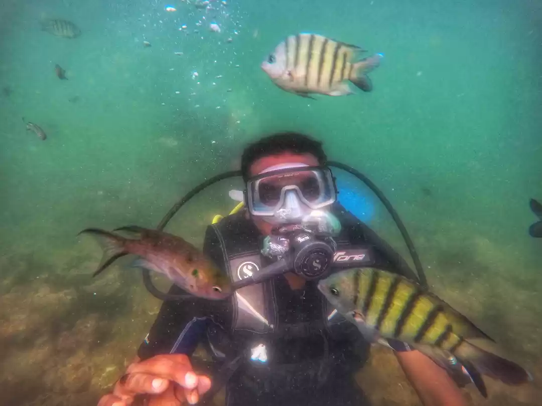 Photo of A short trip to the 