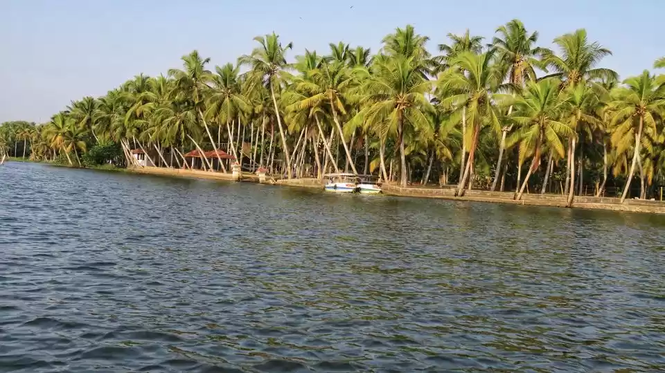 Photo of What about having te