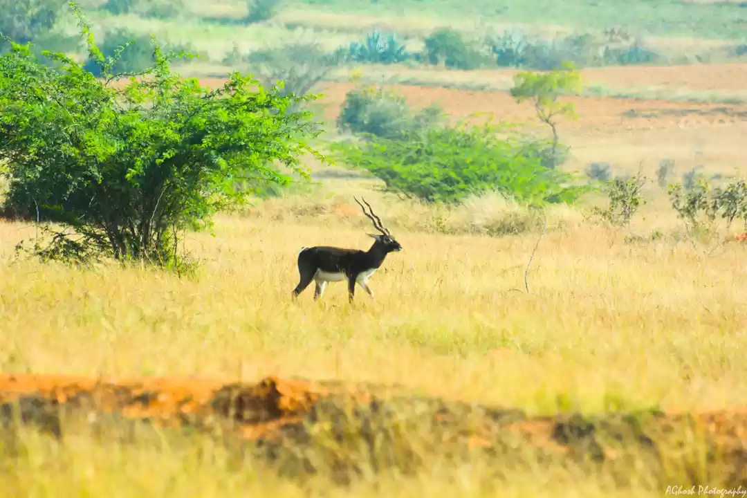Photo of Sojourn at Jayamanga